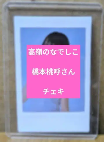 타카미네노 나데시코 하시모토 모모코 씨 폴라로이드