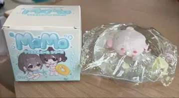 MOMO 스퀴즈 시크릿