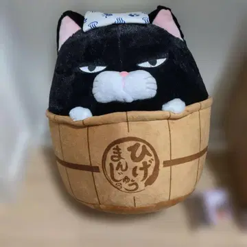 블랙콩 수염 만주 온천 울트라 BIG 봉제 인형 고양이