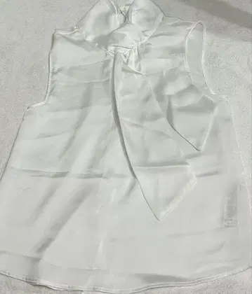 ZARA 보타이 리본 블라우스