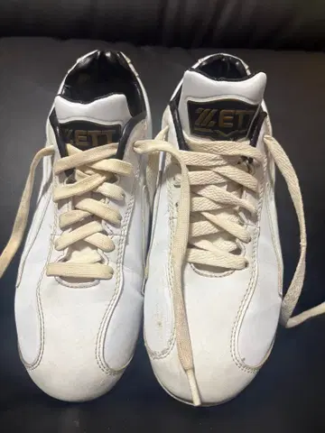 빈도 낮음 ZETT 네오스테이터스 23cm 흰색 화이트