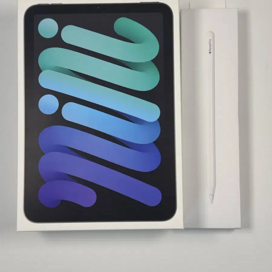 iPad mini 7 128GB + Apple Pencil Pro | Bunjang Global