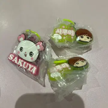 NCT WISH 통통 메지루시 액세서리 사쿠야 SAKUYA 세트