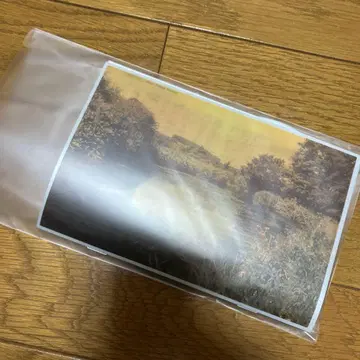 betcover!! 달걀 앨범