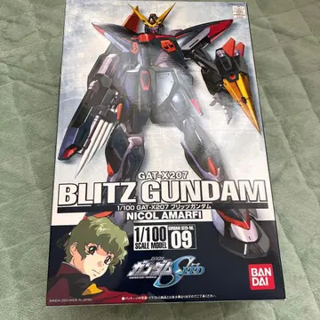 정크 BLITZ GUNDAM 1/100 GAT-X207