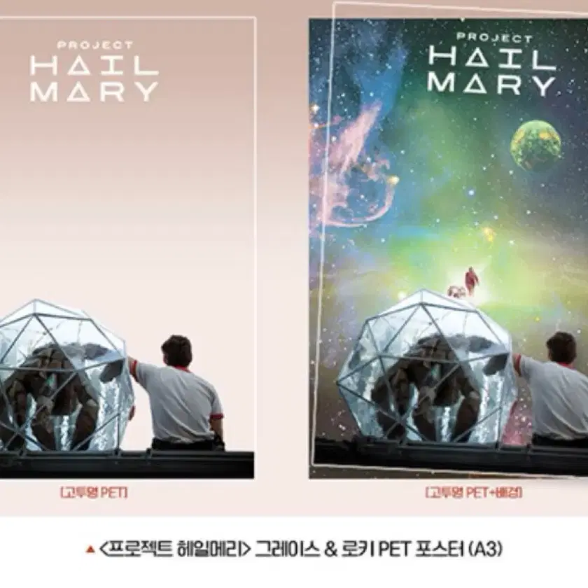 Shop project hail mary on Bunjang Global Site - No more Korean