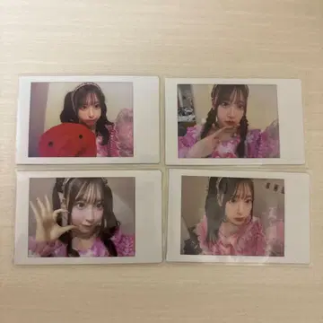 CUTIESTREET 사쿠라바 하루카 파루탄 프린트 폴라로이드