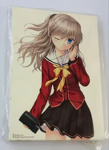 Charlotte 샬롯 토모리 나오 캔버스 아트