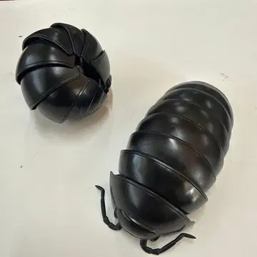 공벌레 2 아르마딜로 거북 방어 형태 가능!