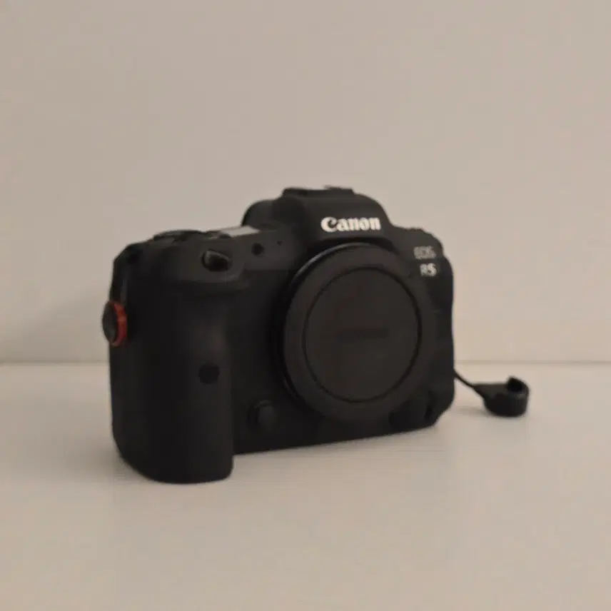 캐논 EOS R5 (펌웨어1.9.0)