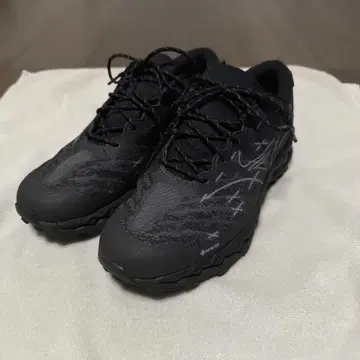 Mizuno wave mujin LS gore tex 25.5cm