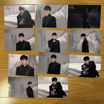 2PM THE RETURN 우영 트레이딩 카드 11장 세트
