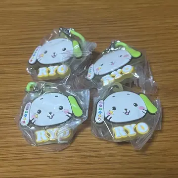NCT WISH 통통 메지루시 액세서리 료 리옹리옹