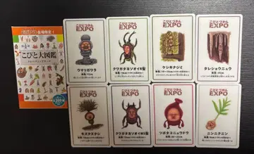 코비토즈칸 Expo 트레이딩 카드 8장 세트