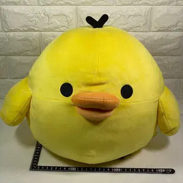 리락쿠마 흐물흐물 봉제 인형 대 (현재 L 상당) 키이로이토리