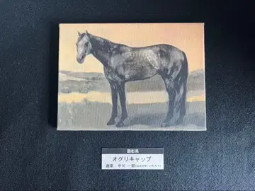 오구리 캡 현창마 그림 패널 기념품 경마