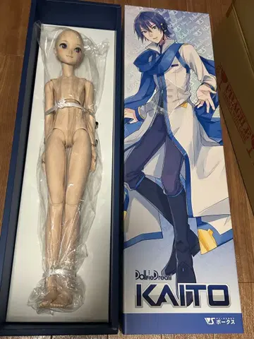 KAITO 돌피드림