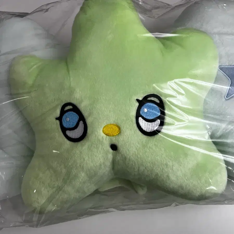 NCT Wish Wichu Cushion Transfer on Bunjang Global Site.