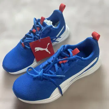 Puma 파랑 스니커즈 택 포함 UNISSEX