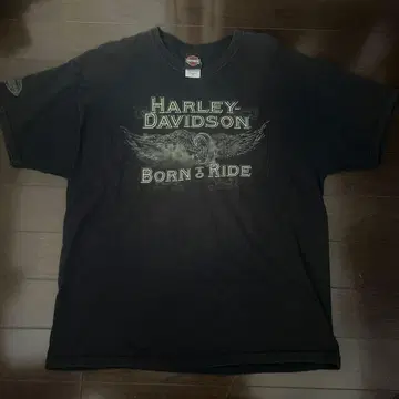 할리데이비슨 T셔츠 BORN TO RIDE XL