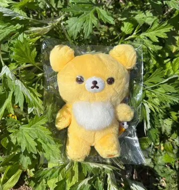 5colors 봉제 인형 차이로이코구마
