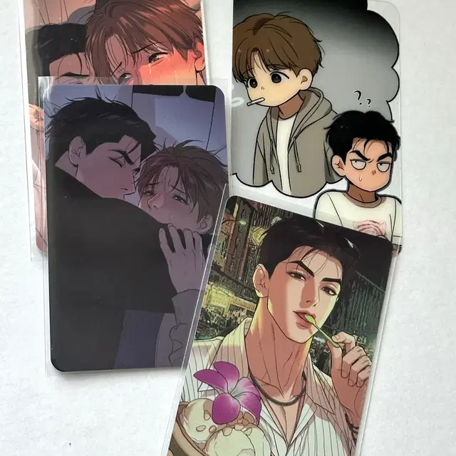 징크스 특전 포토카드 포카 일괄