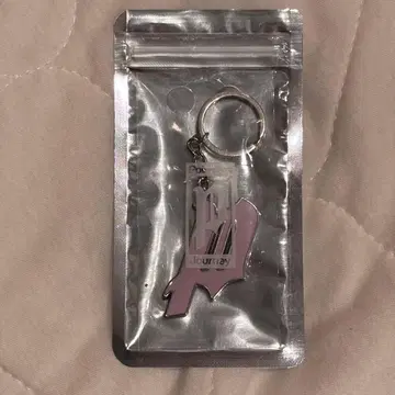 Pointless Journey LOGO KEY CHAIN GRAY
