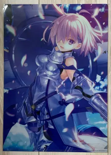Fate/Grand Order 최종 재림전 마슈 키리에라이트 클리어 파일