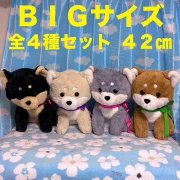 러블리 퍼피 시바견 42cm 4종 세트 컴프