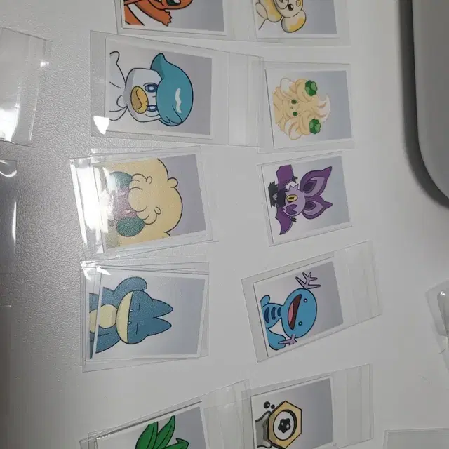 개별가) 쫀도기 먹고자 파이리 우파 포켓몬 증명사진 증사 한국 팝업 가챠