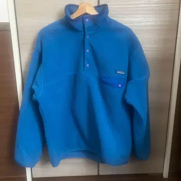 patagonia 스냅T