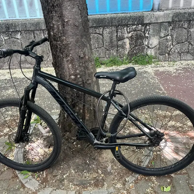 마젠타mtb 싸게날림 찜만누르지마시고 바로바로 연락 꽂아주세요