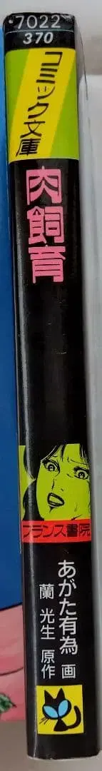 아카타 유이 육사육 프랑스 서원