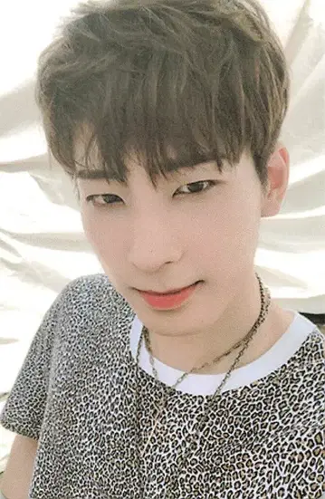 SEVENTEEN An Ode WONWOO 트레이딩 카드 화이트