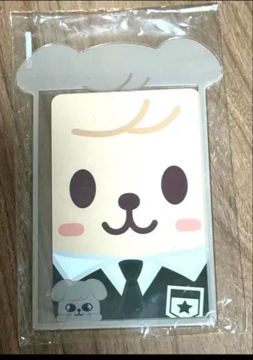 Straykids 승민 트레이딩 카드 케이스 탑로더
