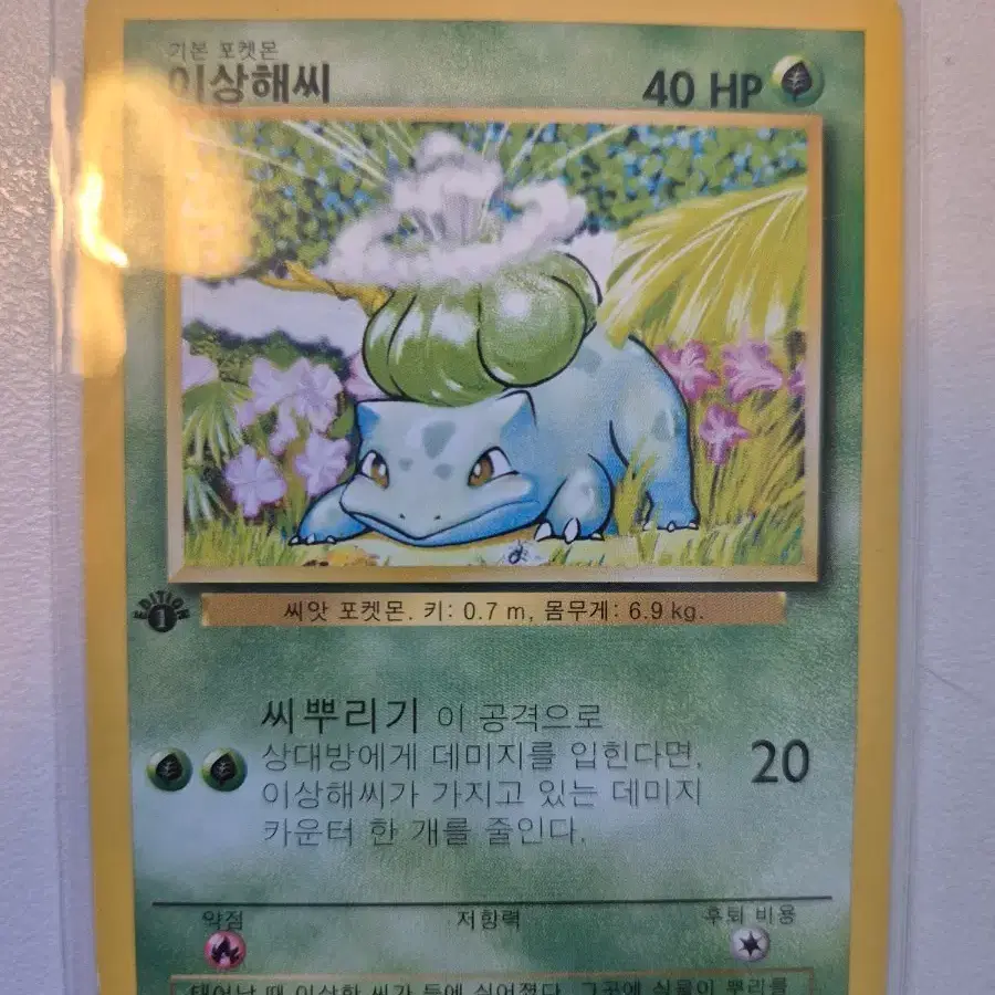 Pokemon Card Bulbasaur First Edition Korean First Edition on Bunjang Global  Site.