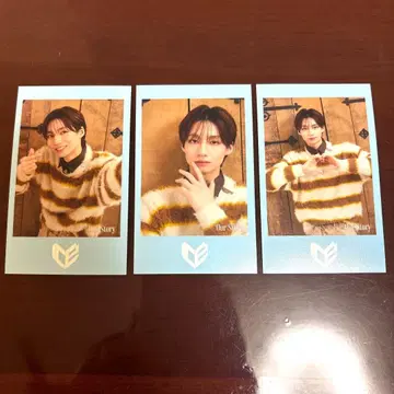 ICEx School 미니 포토카드 시가 리쿠