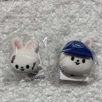 StrayKids SKZOO 볼캡 키링 네임택
