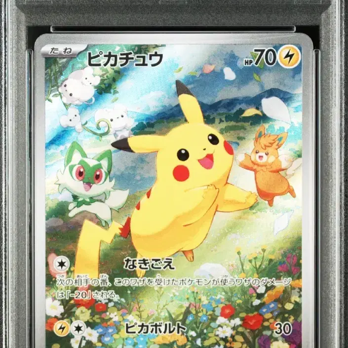 Fukuoka Pikachu PSA 10 | Bunjang Global