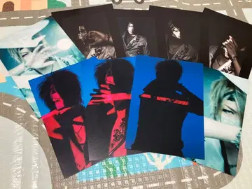 the GazettE 레이타 대형 포토 카드 9장 세트