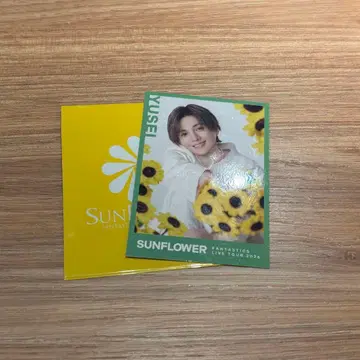 야기 유세이 포토 카드 시크릿 시크릿 SUNFLOWER