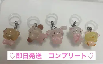 [컴플리트] mikko 메지루시 액세서리 5종 세트