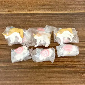 야옹냐옹 고양이 마스코트 6개 세트