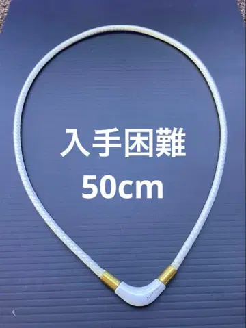 레어 한정품 파이텐 스포츠 목걸이 50cm