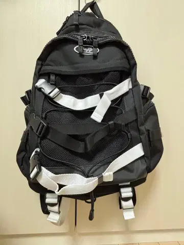 데이라이프 백팩