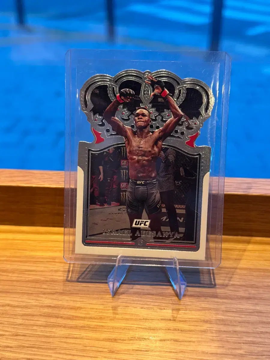 UFC 이스라엘 아데산야 선수 카드