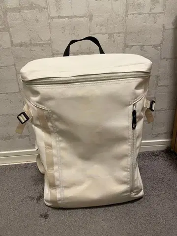 THE NORTH FACE 화이트 백팩