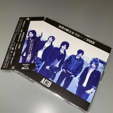 (2098) ACID 세상이 끝날 때까지 FAKE WANDS 커버