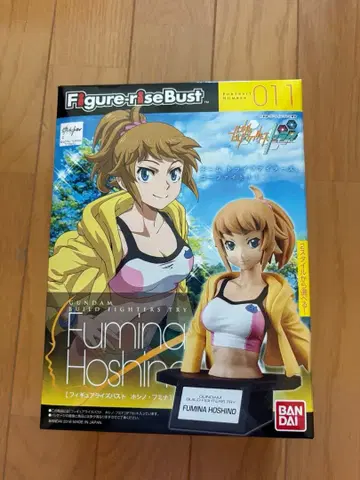Figure-rise Bust 011 호시노 후미나