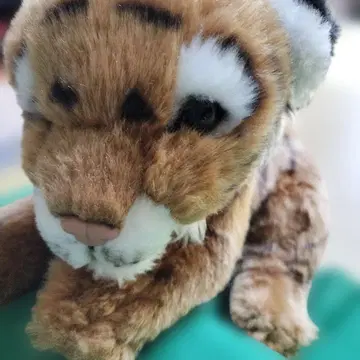 이타리야 호랑이 봉제 인형 소형